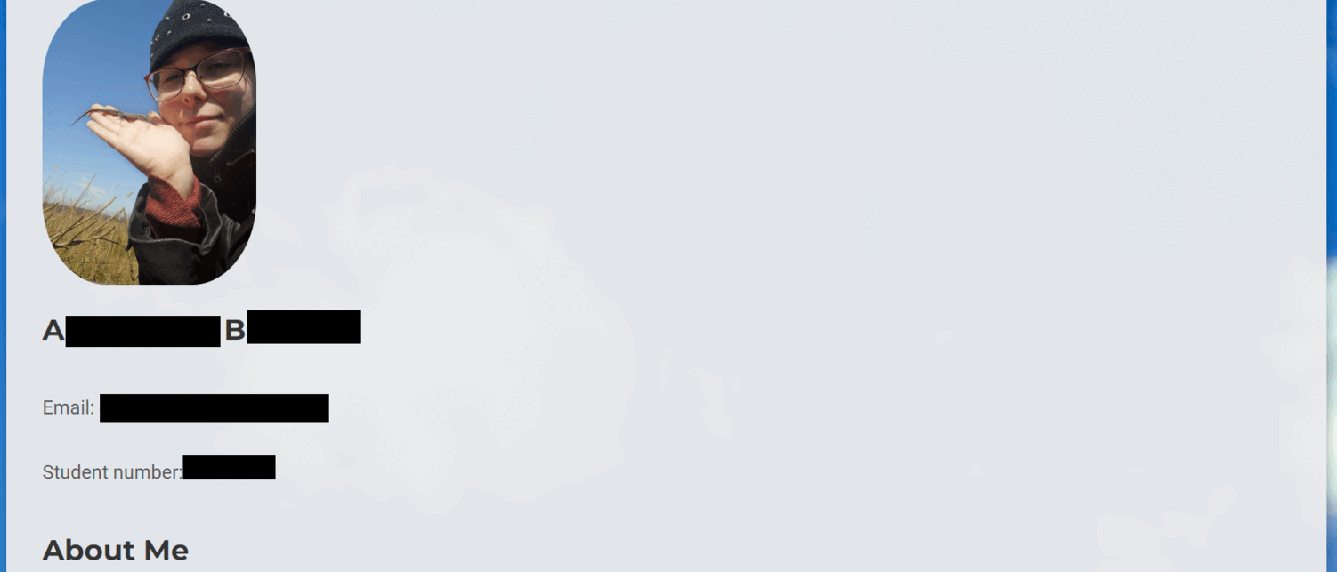 Portfolio Iteration Gif